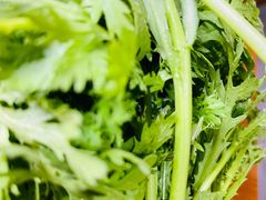 -果松木炭酸菜铜火锅·外婆参鸡汤