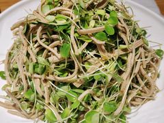 香椿苗豆腐丝-小土豆北方菜馆(文慧园店)