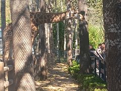 -大连森林动物园