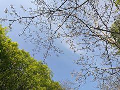 -南山风景名胜区
