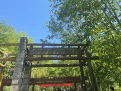 -牛背梁国家森林公园