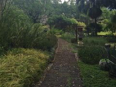 -四季酒店下午茶