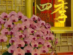 -民族饭店-四季餐厅