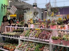 -KKV(深圳宏发大仟里店)