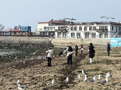 -黑石礁公园