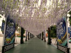 -厦门方特梦幻王国