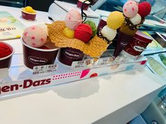 -哈根达斯(石家庄北国店)