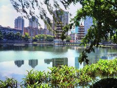 -宝岛公园