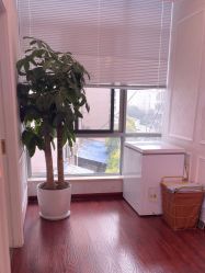 -武汉五洲整形外科医院