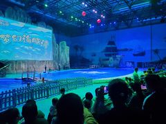 -华夏文旅海洋公园