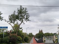 -上海长兴岛郊野公园