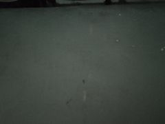 -上海体育场