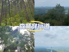 -帽儿山国家森林公园