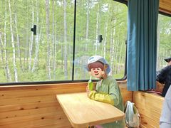 -莫尔道嘎国家森林公园