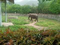 -西安秦岭野生动物园