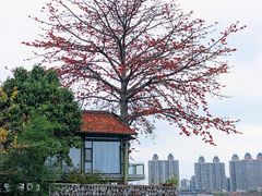 -喜洲吧·江畔老船厂·庭院餐厅(喜临院店)