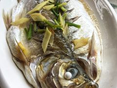 太湖白鱼-湖山人家·湖景餐厅·特色农家菜(太湖西山店)