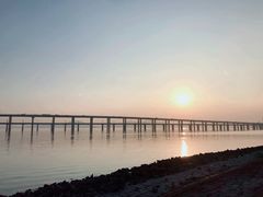 -海堤纪念公园