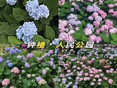 -常州古运河南大街文化旅游区-人民公园