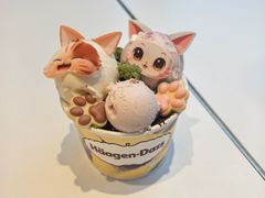 -哈根达斯(上海金山店)