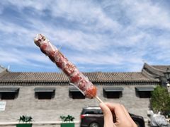 -和禄德冰糖葫芦