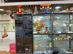 -创炫青少年创新实验室·AI·编程·科创(临港店)