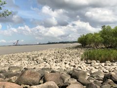 -上海吴淞炮台湾国家湿地公园