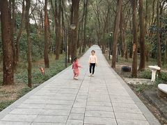 -南国桃园旅游度假区