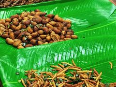 -席娜卡琳火车铁道夜市