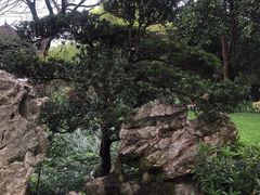 -西湖外事游船(花港观鱼码头)