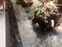 -水悦汇