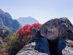-秦岭风景区