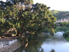 -云水谣景区
