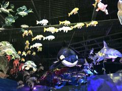 -沙沙哗啦海洋馆(华宇百花谷店)