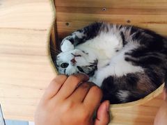 -小时光咖啡馆(开森度假森林店)