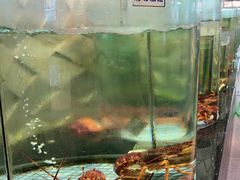 -新海利海鲜城·41年珠海老字号(夏湾店)