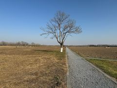 -汉长安城未央宫国家考古遗址公园