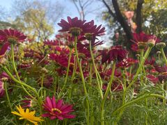 -人民公园(罗湖区)