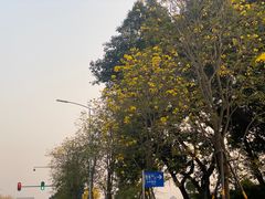 -洲头咀公园