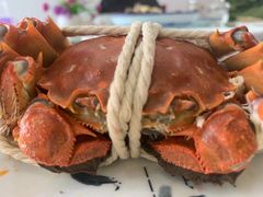 -丫丫蟹庄·苏式园林农家乐·阳澄湖大闸蟹(阳澄湖莲花岛店)