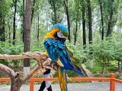 -北京野生动物园