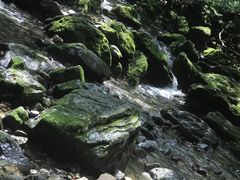 -关门山森林公园