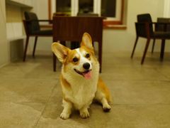 -771餐吧·咖啡·西餐·烤肉(金湖广场店)