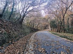 -大蜀山国家森林公园
