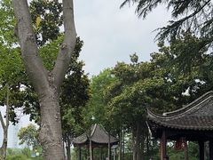 -梅园