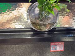 -渝乡辣婆婆·川菜 水煮鱼(中山西路店)