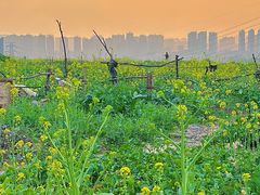 -西南政法大学(渝北校区)