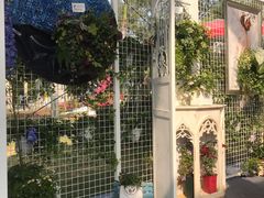 -深圳仙湖植物园