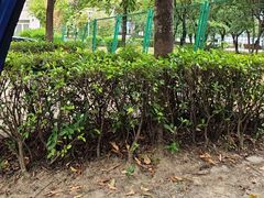 -飞来湖湿地公园