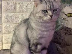 -平行世界·猫咖(首经贸店)